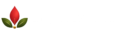 logo removebg preview