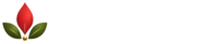 logo removebg preview