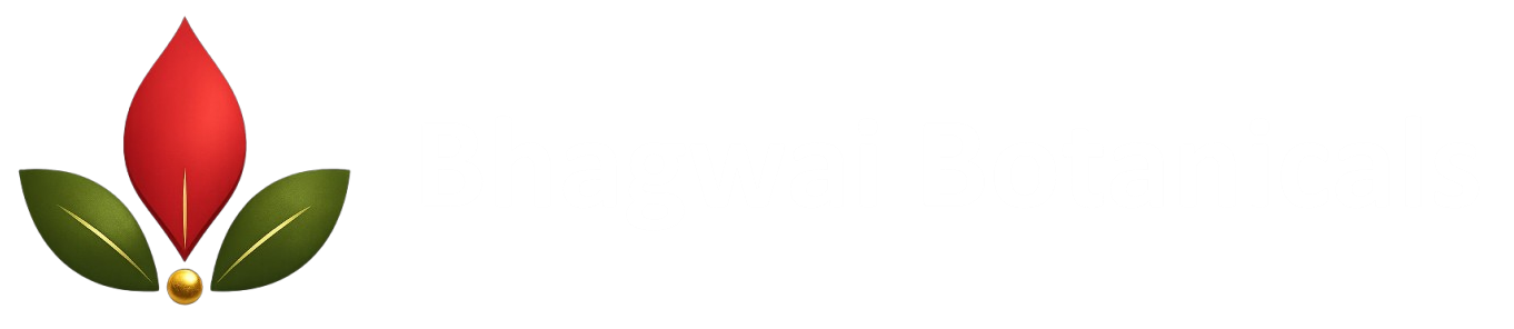 logo removebg preview